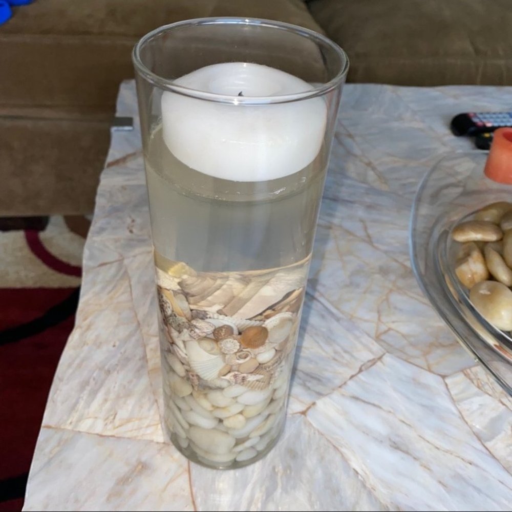 Gorgeous Stylish Modern Acrylic‎ Water Seashells